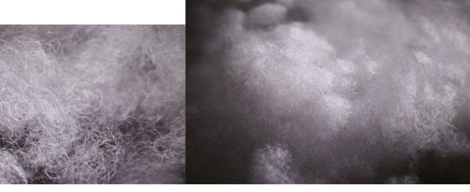 Ultra Cluster TherWarm